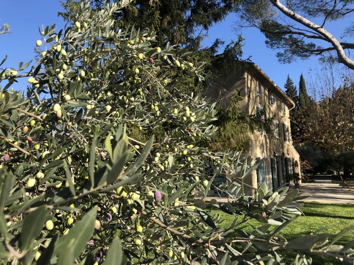 Desir De Provence Bed & Breakfast Sarrians Exterior foto